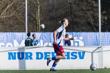 Bild 185 - F Hamburger SV 3 - Blau-Weiss 96 : Ergebnis: 5:1